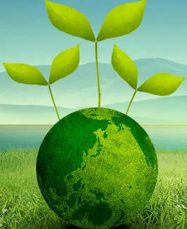 The UK prefers eco-friendly products